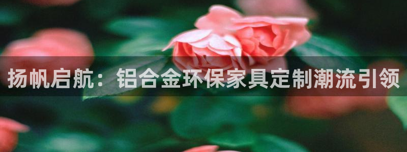 沐鸣2平台注册会员：扬帆启航：铝合金环保家具定制潮流引领