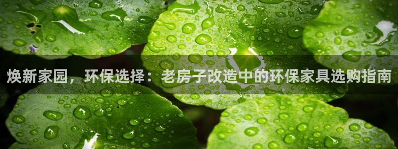 沐鸣2平台一安全注册入口：焕新家园，环保选择：老房子改造中的
