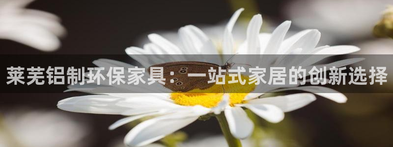 沐鸣2注册链接：莱芜铝制环保家具：一站式家居的创新选择