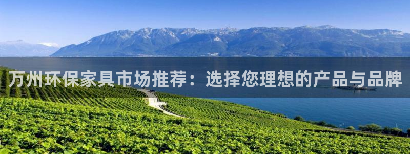 沐鸣2官网注册：万州环保家具市场推荐：选择您理想的产品与品牌