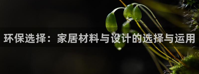 沐鸣2登录测速：环保选择：家居材料与设计的选择与运用
